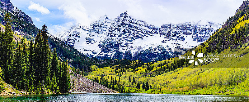 栗色钟二号图片素材