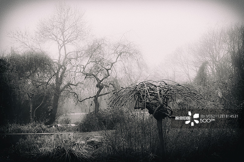 凋零的自然图片素材