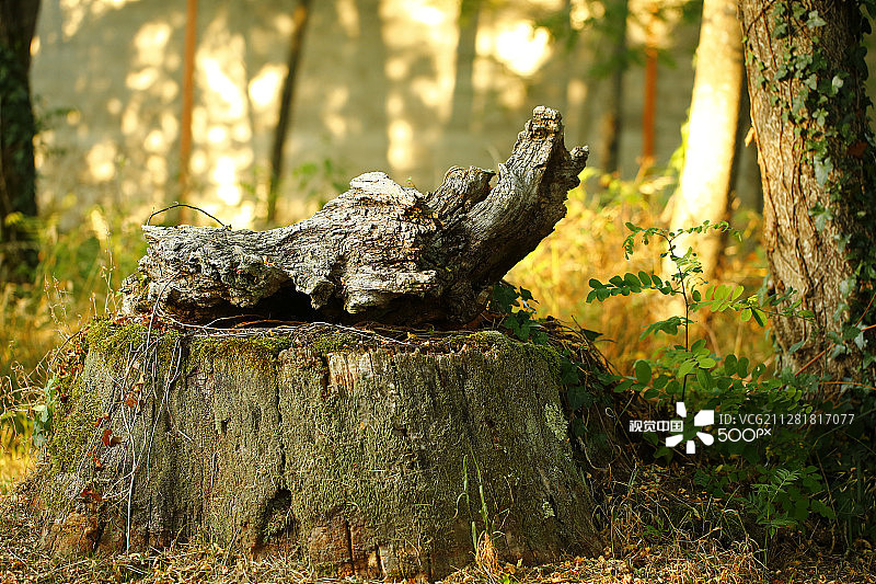 法国波尔多图片素材