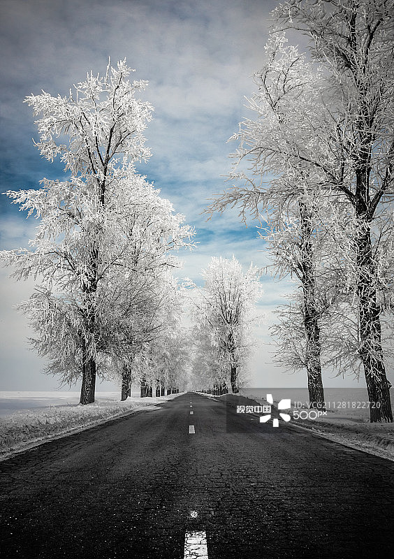 水晶树图片素材