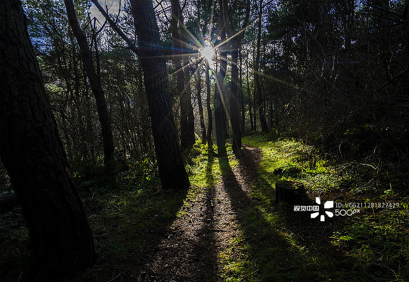 皮斯·迪恩图片素材