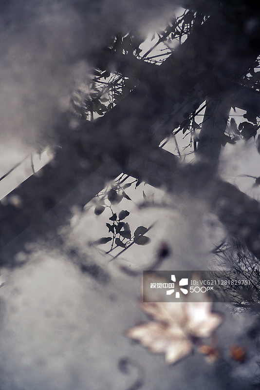 一月的雨水图片素材