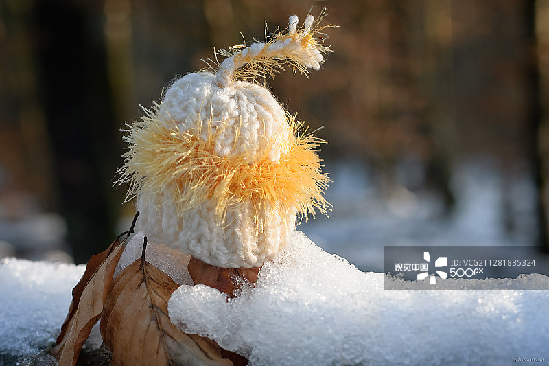 小绒球帽图片素材