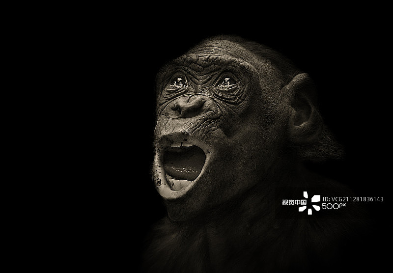 夜晚哭泣图片素材