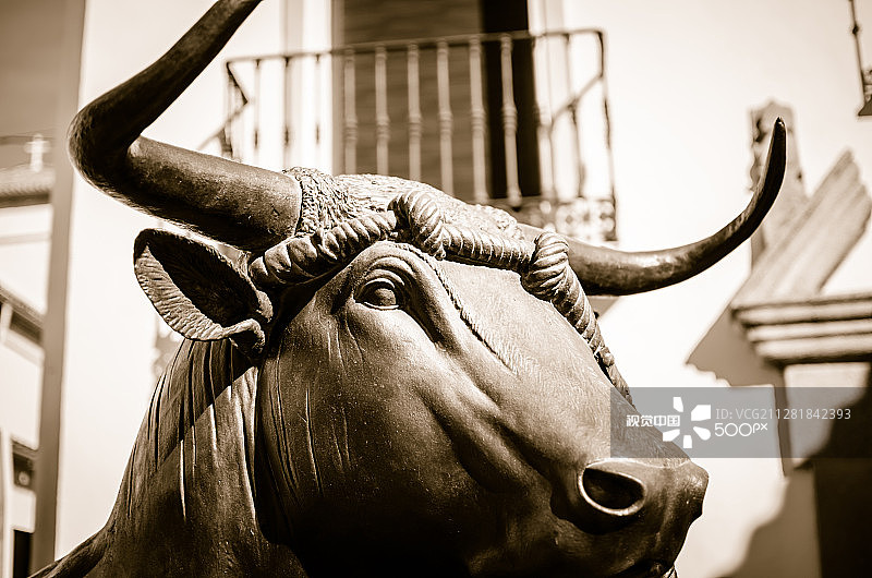 绳索公牛图片素材