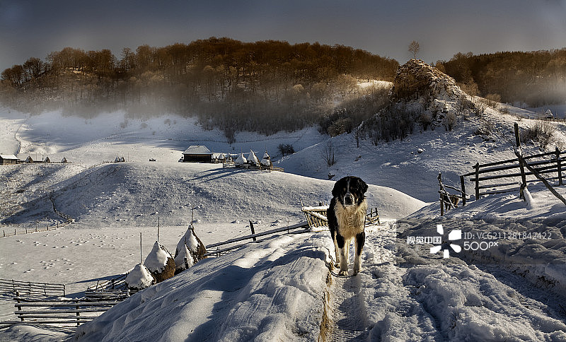 山谷守卫图片素材