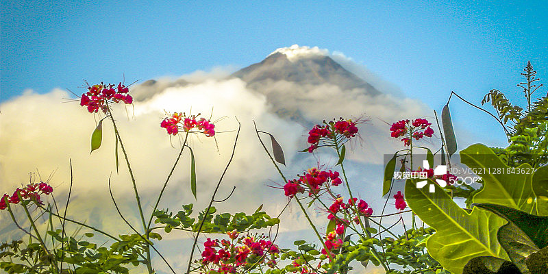 美女与野兽图片素材