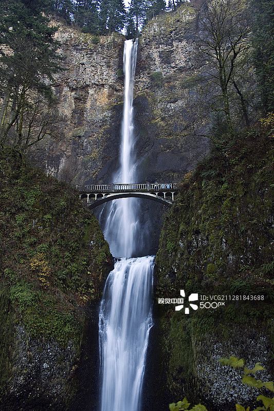 Multnomah图片素材