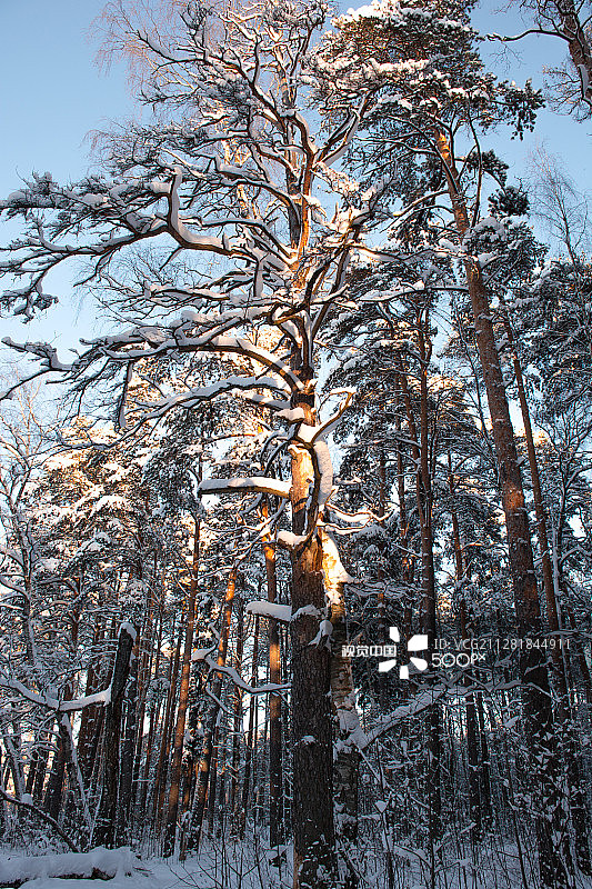 俄罗斯联邦伊万诺沃图片素材