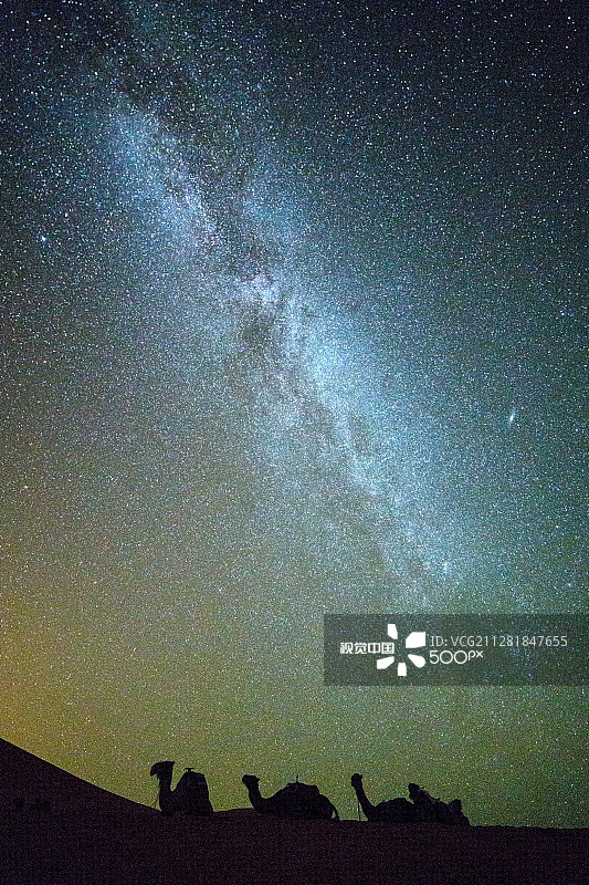 撒哈拉沙漠的夜晚图片素材