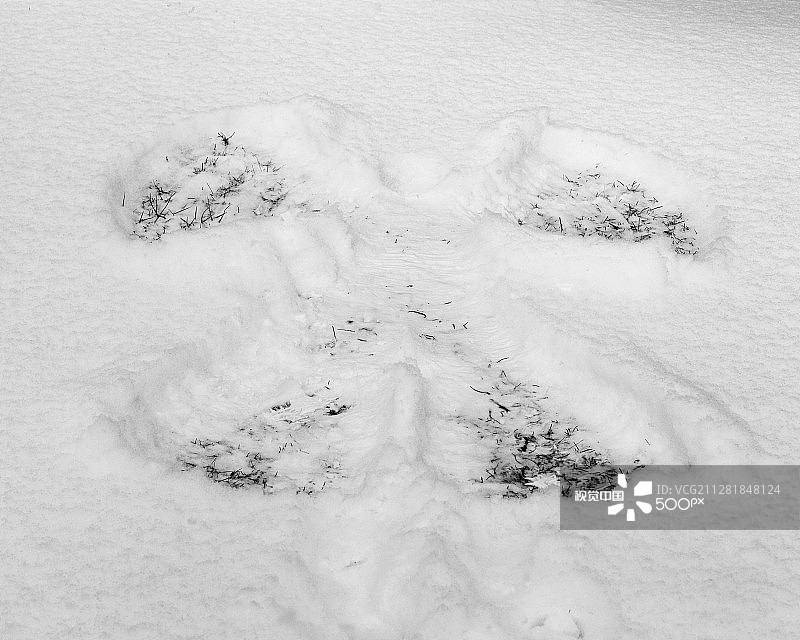 我发现了一个天使图片素材