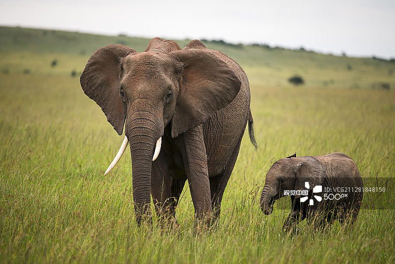 《卫报》图片素材