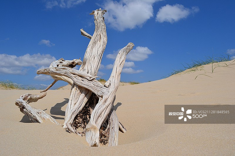 沙岬入口图片素材