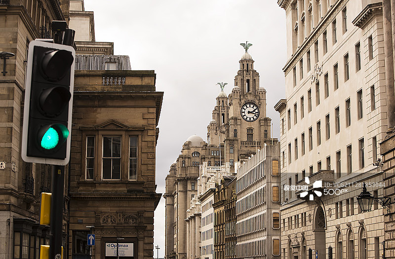 屋顶上的鸟（1）图片素材