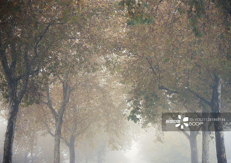 格雷街道图片素材