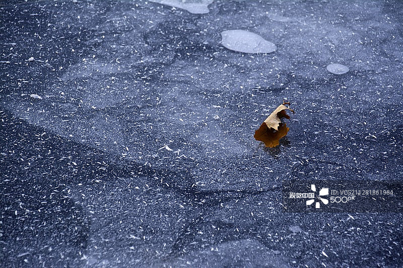 感受秋意图片素材