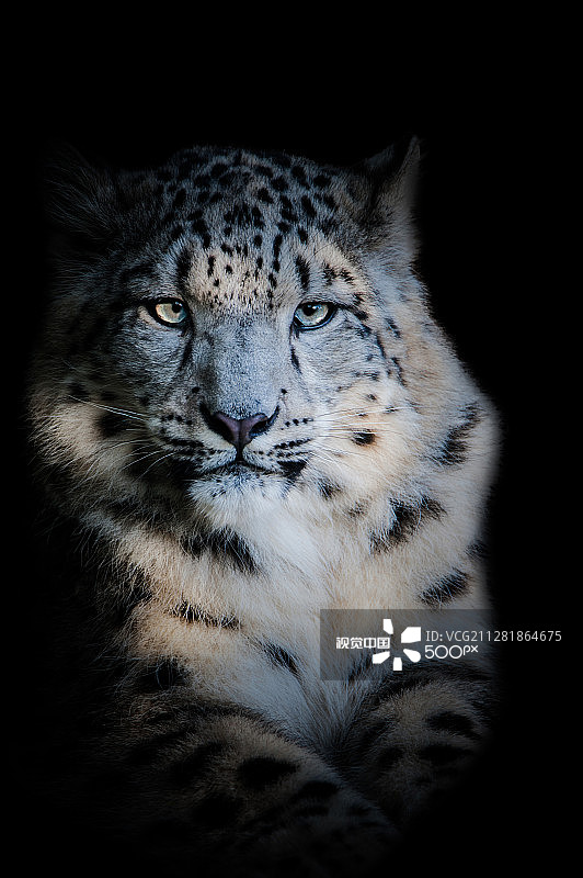 Jean-Christophe Fouchard摄影作品图片素材