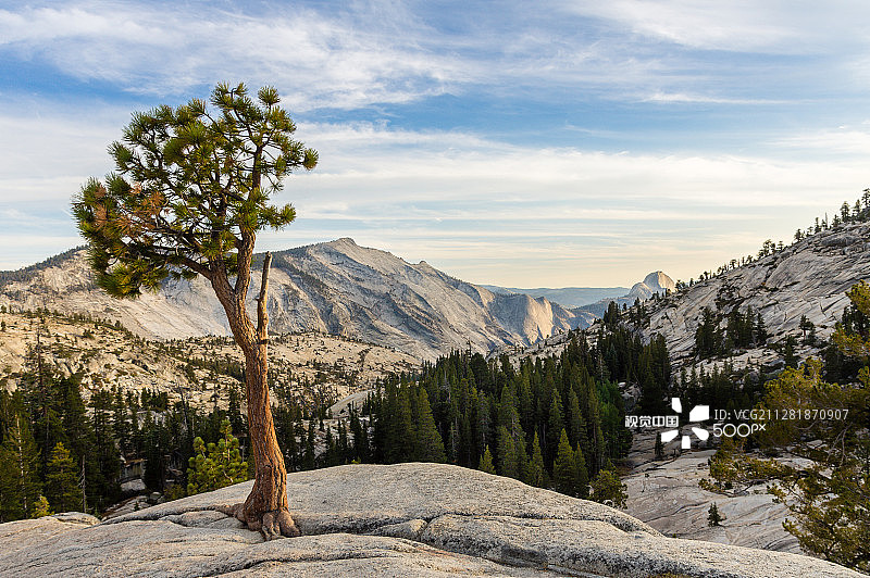 奥姆斯特德角图片素材