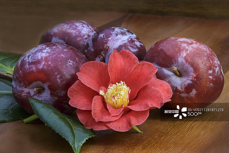 李子与花朵图片素材