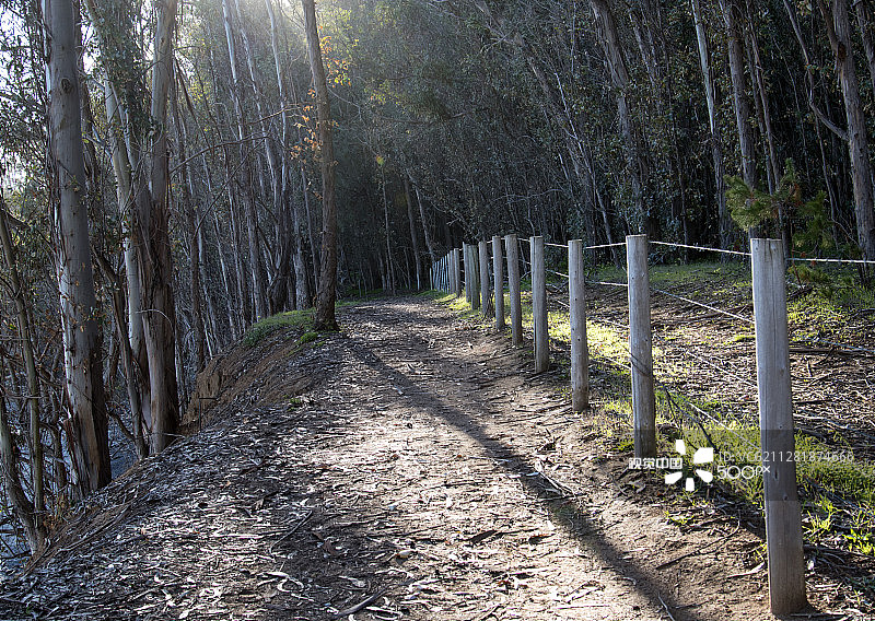 圣西蒙角小径图片素材