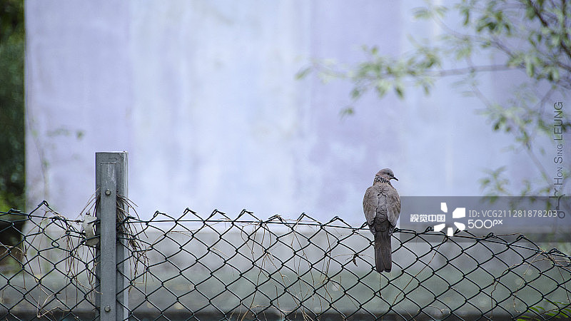 被遗弃之后图片素材