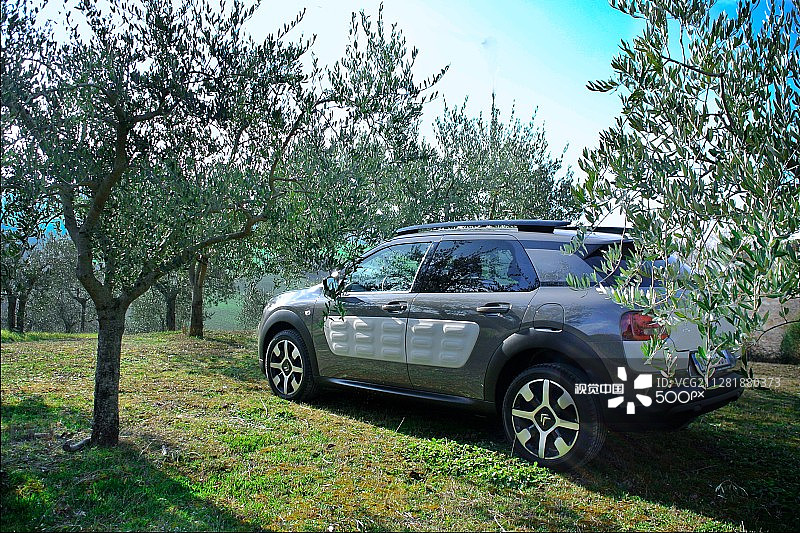 雪铁龙C4 Cactus汽车图片素材