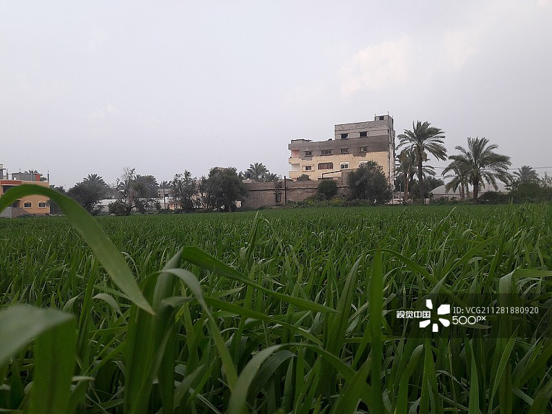 G.O.G空间图片素材