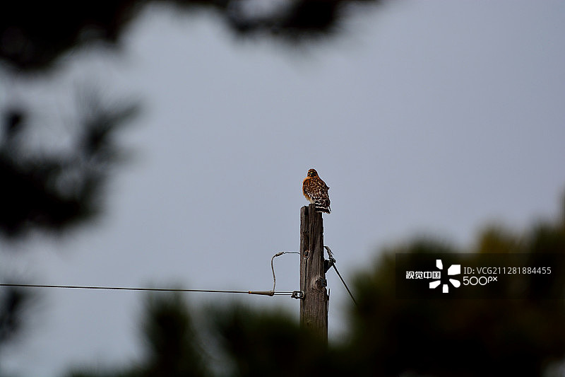 穿过针眼图片素材