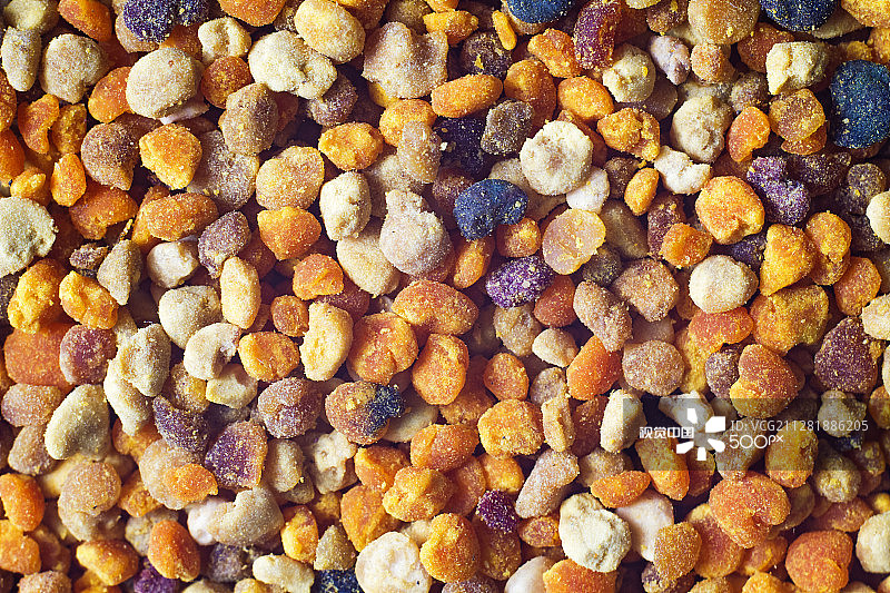 蜂花粉特写图片素材