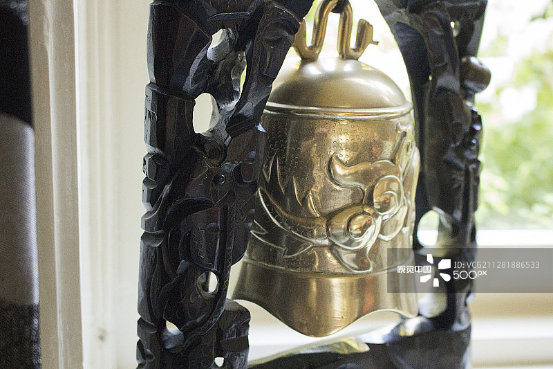 金钟花图片素材