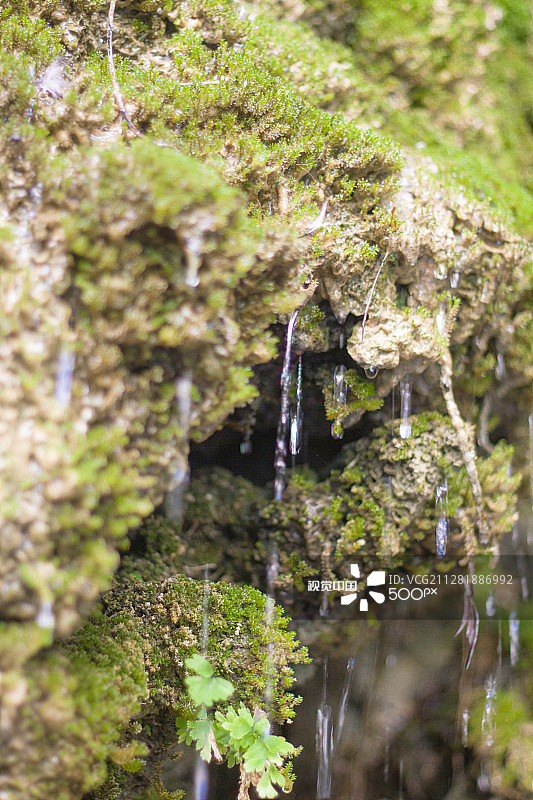 以色列死海地区的隐基底泉图片素材