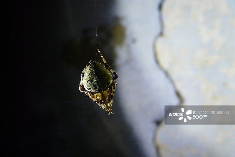 命悬一线图片素材