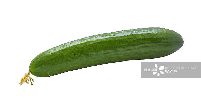 白色背景下的独立黄瓜图片素材