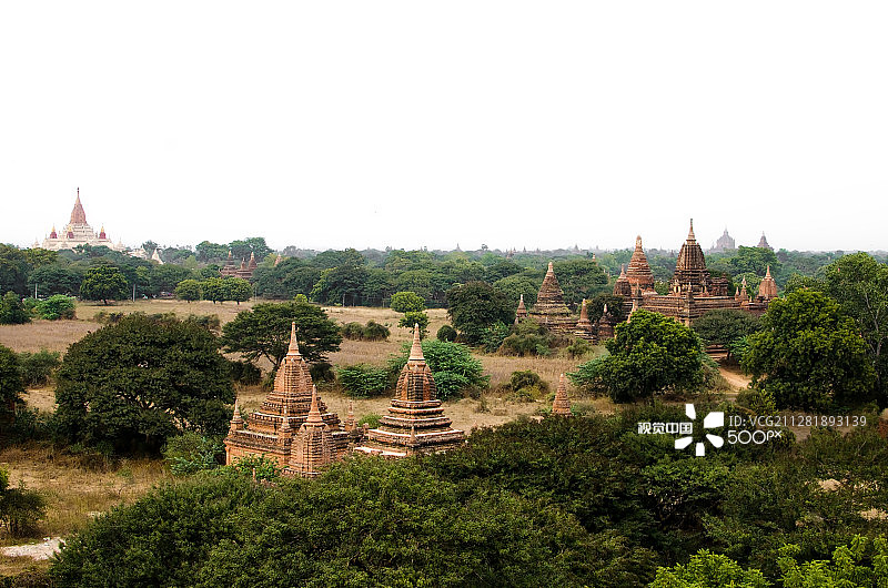 宝塔在蒲甘图片素材
