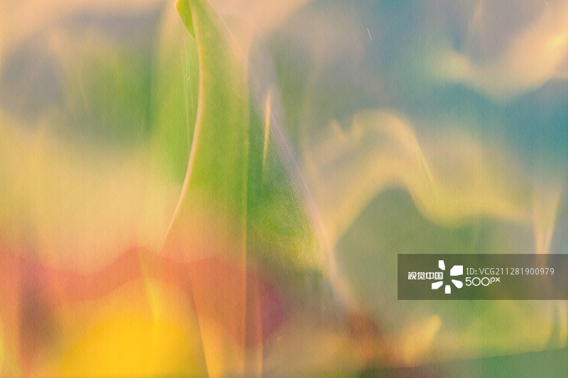 火焰上的花朵图片素材