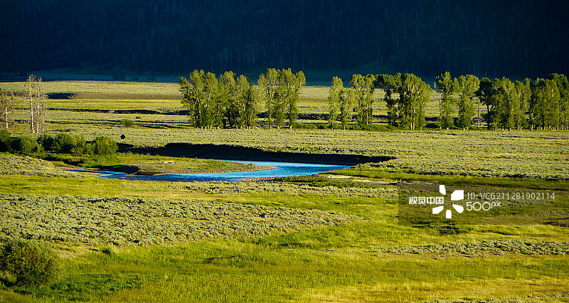 蓝色静脉图片素材