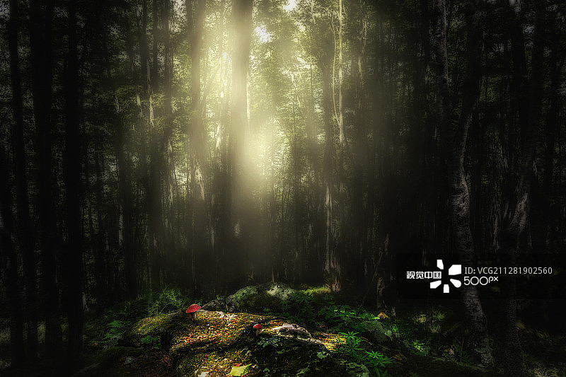 真菌颂图片素材