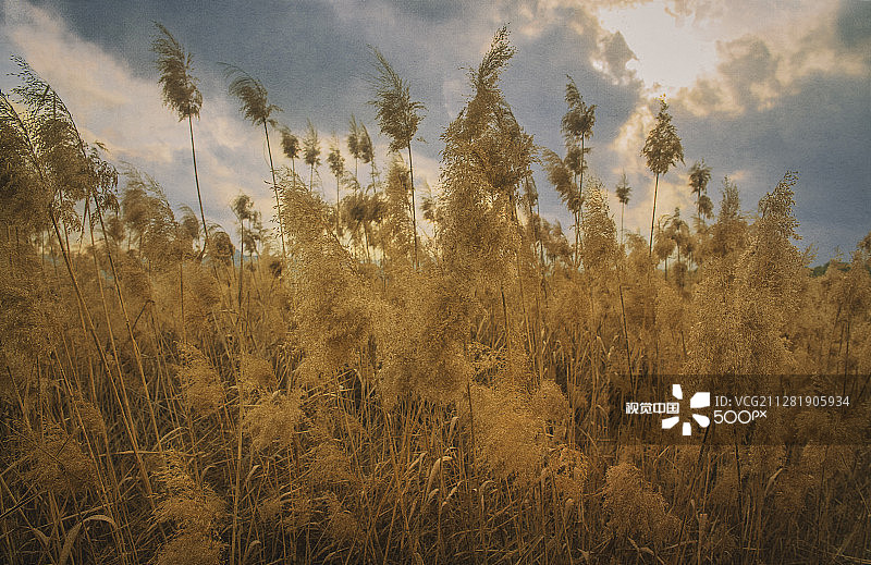 萨洛布拉尔泻湖图片素材