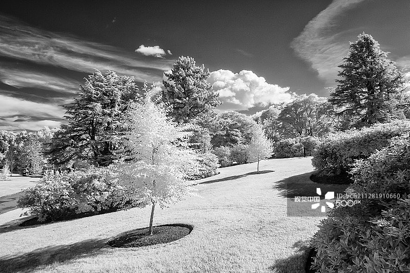 皇家植物园2图片素材