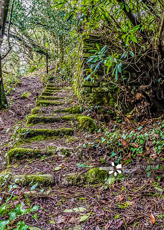 英国圣奥斯特尔图片素材