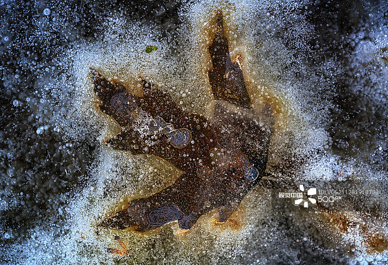 被遗忘的图片素材