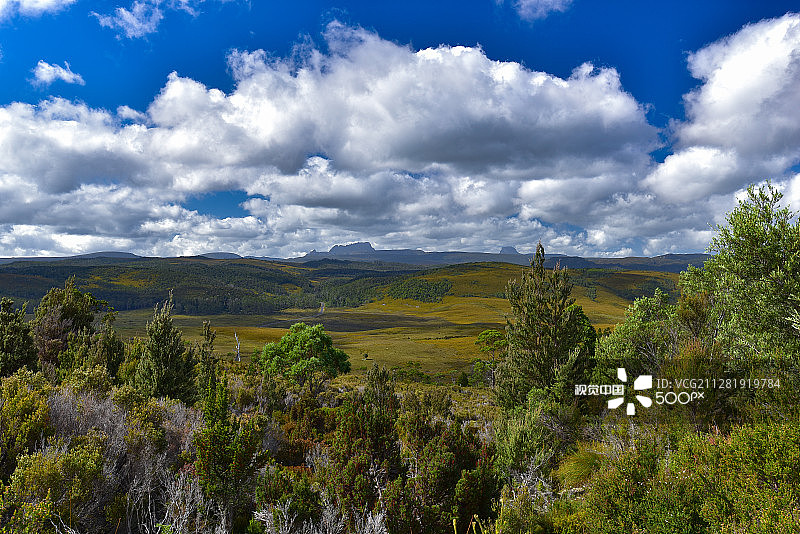 塔斯马尼亚摇篮山的瞭望台图片素材