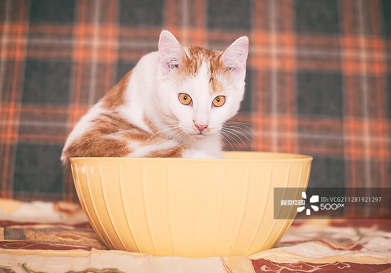 斯洛伐克班斯卡·比斯特里察图片素材