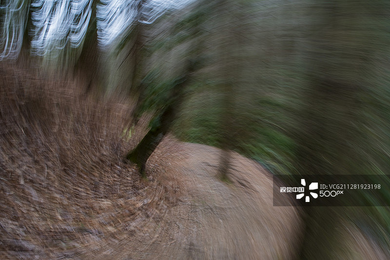 国家森林公园图片素材