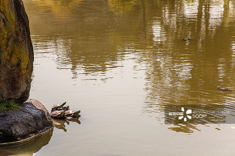 奈良16图片素材