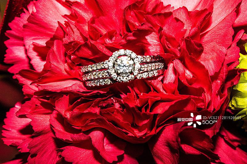 带有圆环的红色花朵图片素材