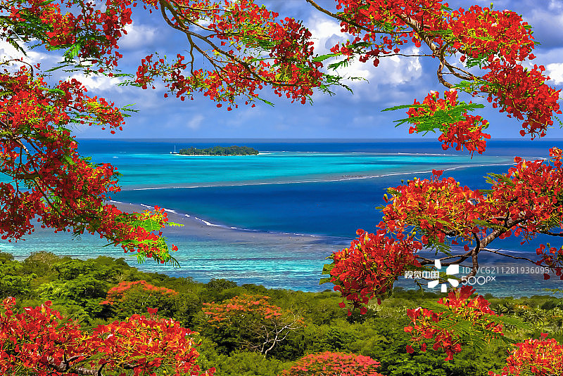 透过凤凰木看马纳加哈岛图片素材