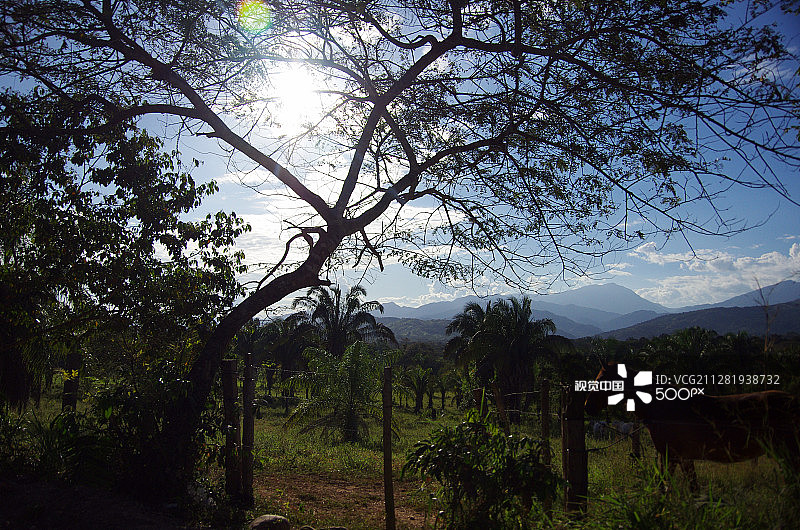 卡萨纳雷，哥伦比亚图片素材