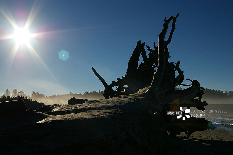 拉普什海滩图片素材