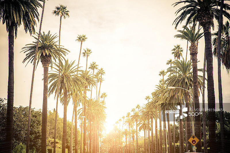 洛杉矶贝弗利山图片素材